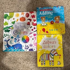 Usborne Big Book of Colors and Zebra's Colors Set
